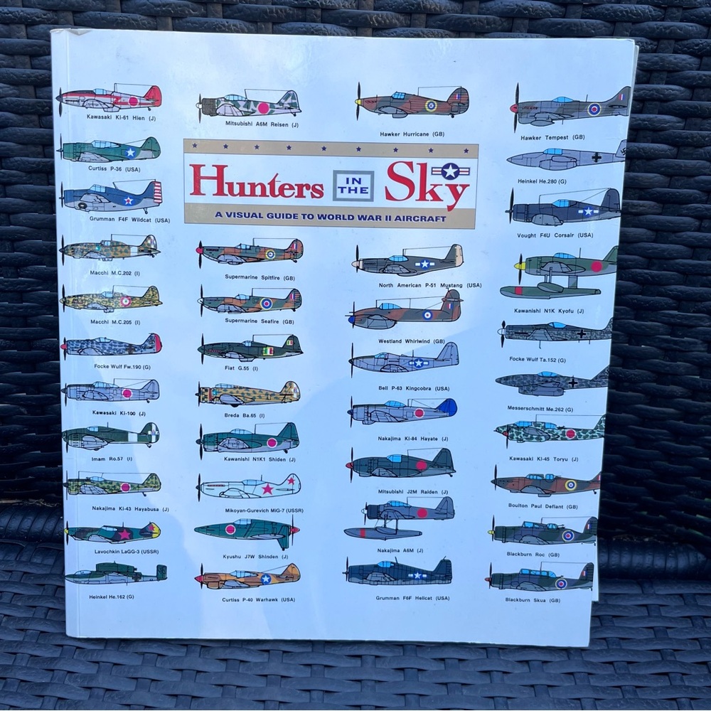 Vintage Hunters in the Sky WW2 Aircraft Aviation Book & Poster National Markings